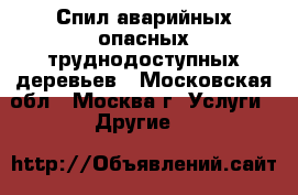 Спил аварийных опасных труднодоступных деревьев - Московская обл., Москва г. Услуги » Другие   